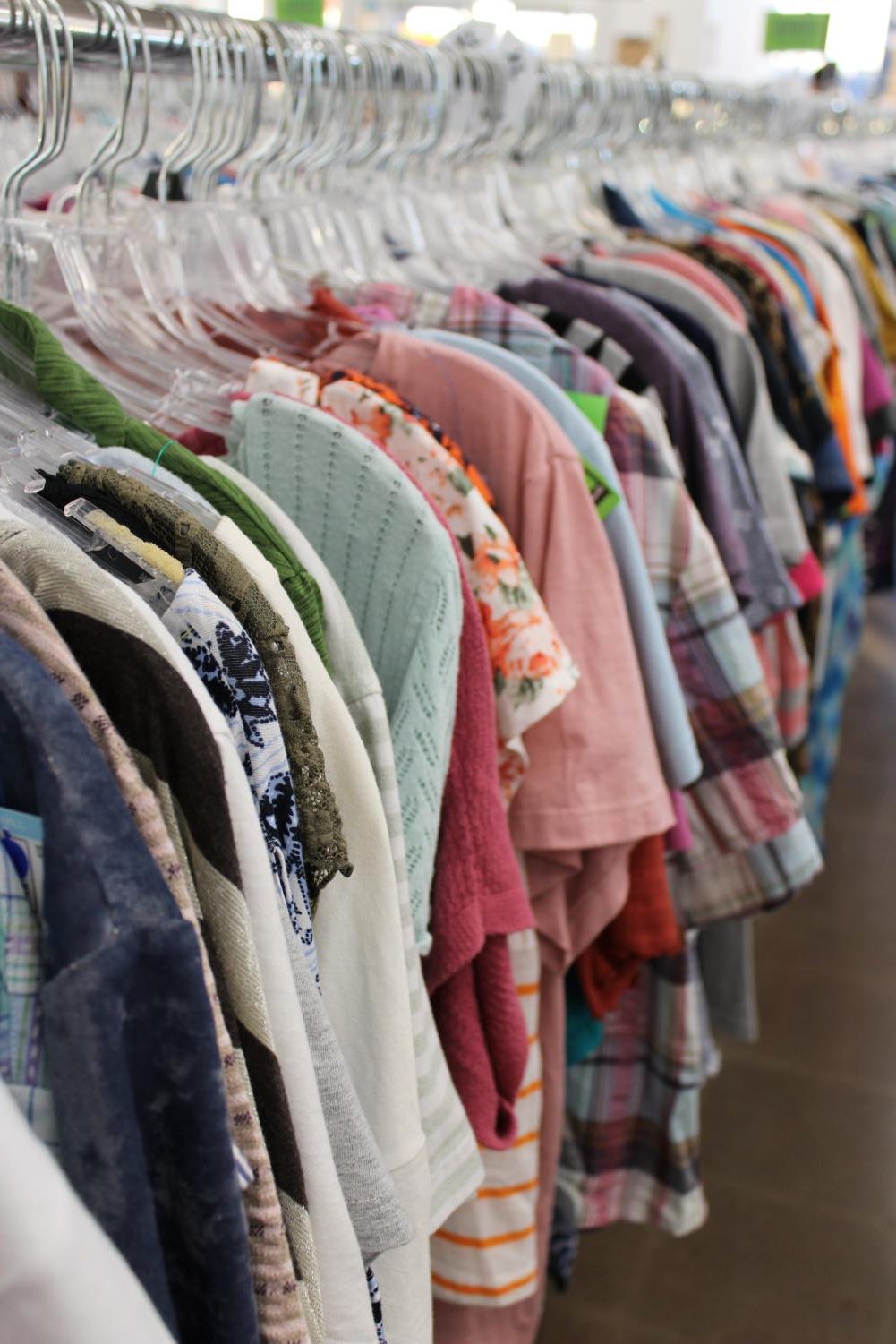 Hit the thrift. Save the Earth. - RHS ECHO: Online student news