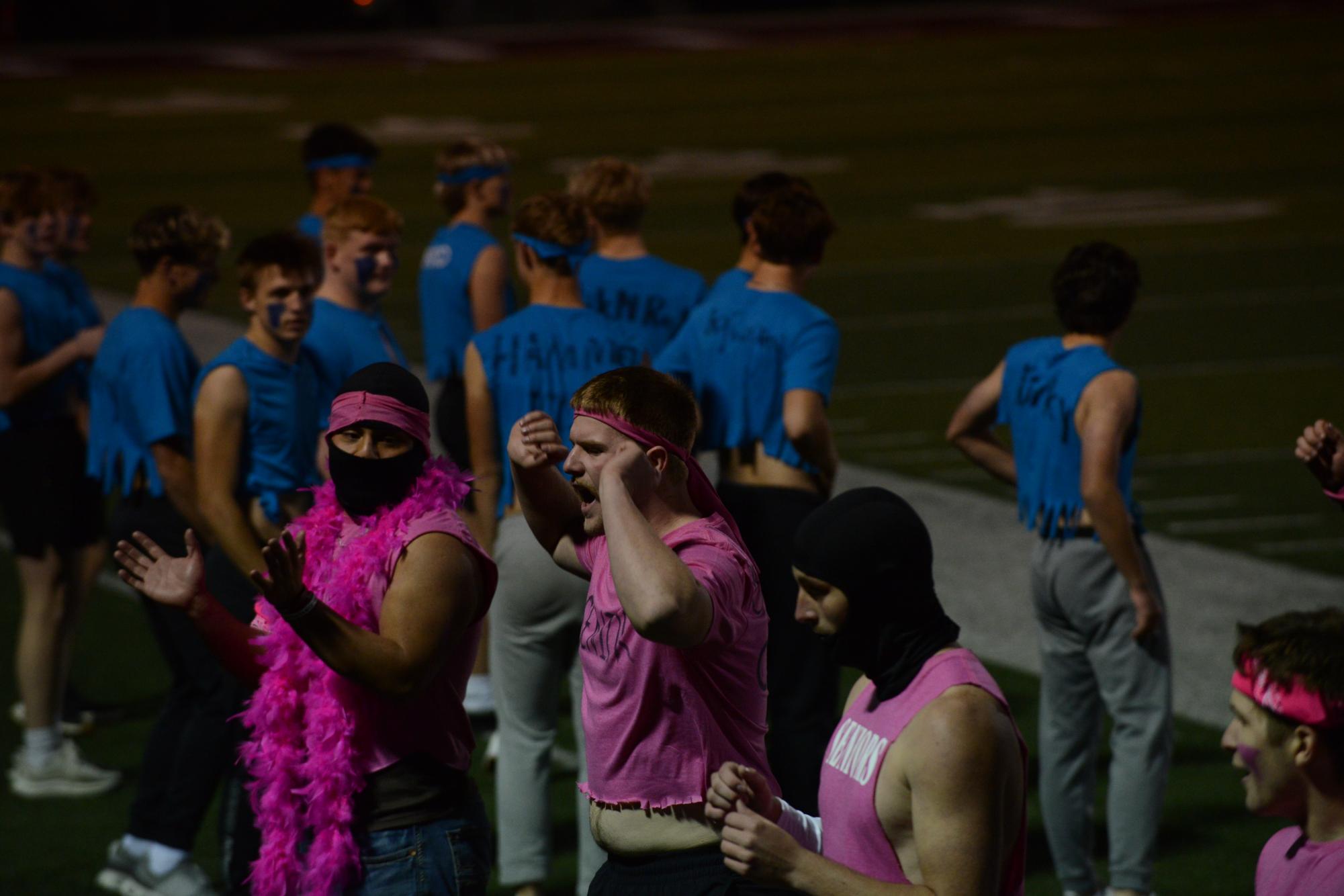 Powderpuff Photo Gallery